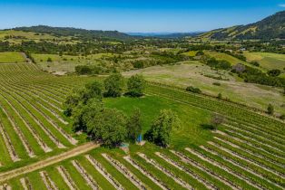Residential Acreage,  Sonoma Mountain road, Santa Rosa, CA 95404 - 43