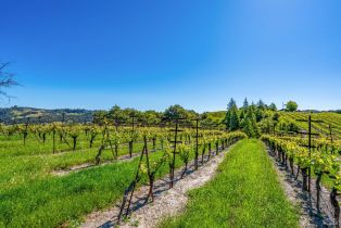 Residential Acreage,  Sonoma Mountain road, Santa Rosa, CA 95404 - 34