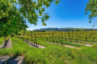 Residential Acreage,  Sonoma Mountain road, Santa Rosa, CA 95404 - 13