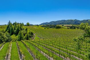 Residential Acreage,  Sonoma Mountain road, Santa Rosa, CA 95404 - 38