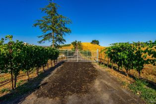 Residential Acreage,  Sonoma Mountain road, Santa Rosa, CA 95404 - 31
