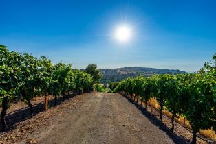 Residential Acreage,  Sonoma Mountain road, Santa Rosa, CA 95404 - 36