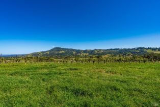 Residential Acreage,  Sonoma Mountain road, Santa Rosa, CA 95404 - 45