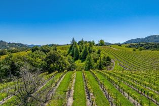 Residential Acreage,  Sonoma Mountain road, Santa Rosa, CA 95404 - 24