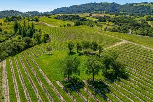 Residential Acreage,  Sonoma Mountain road, Santa Rosa, CA 95404 - 7