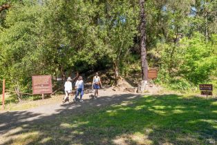 Single Family Residence,  Petrified Forest road, Santa Rosa, CA 94515 - 56