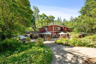 Single Family Residence,  Petrified Forest road, Santa Rosa, CA 94515 - 58