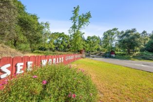 Single Family Residence,  Petrified Forest road, Santa Rosa, CA 94515 - 2