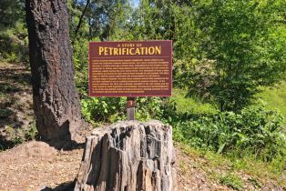 Single Family Residence,  Petrified Forest road, Santa Rosa, CA 94515 - 61