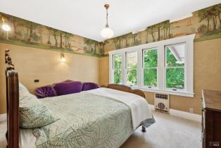 Single Family Residence,  Petrified Forest road, Santa Rosa, CA 94515 - 23