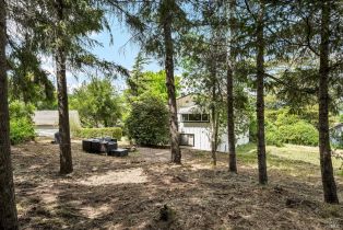 3+ Houses on Lot,  Cooper road, Sebastopol, CA 95472 - 58