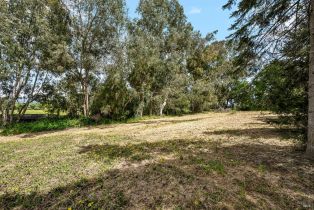 3+ Houses on Lot,  Cooper road, Sebastopol, CA 95472 - 59