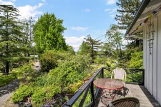 3+ Houses on Lot,  Cooper road, Sebastopol, CA 95472 - 35