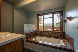 Single Family Residence, Palo Alto drive, Russian River, CA 95446 - 15