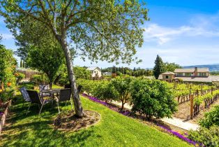 Single Family Residence,  Silverado trail, Napa, CA 94558 - 68