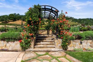 Single Family Residence,  Silverado trail, Napa, CA 94558 - 69