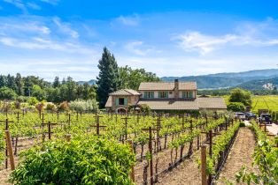 Single Family Residence,  Silverado trail, Napa, CA 94558 - 63