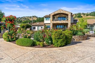 Single Family Residence,  Silverado trail, Napa, CA 94558 - 73