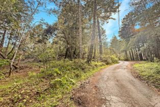 Residential Lot,  Siri road, Russian River, CA 95446 - 2