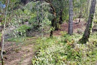 Residential Lot,  Siri road, Russian River, CA 95446 - 30