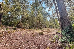 Residential Lot,  Siri road, Russian River, CA 95446 - 14