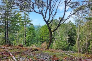 Residential Lot,  Siri road, Russian River, CA 95446 - 29