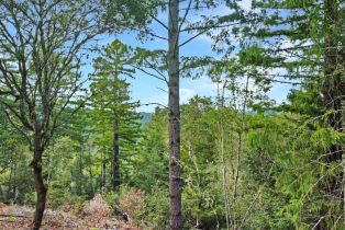 Residential Lot,  Siri road, Russian River, CA 95446 - 23