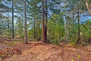 Residential Lot,  Siri road, Russian River, CA 95446 - 17