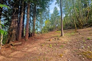 Residential Lot,  Siri road, Russian River, CA 95446 - 10