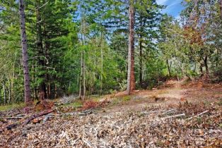 Residential Lot,  Siri road, Russian River, CA 95446 - 20