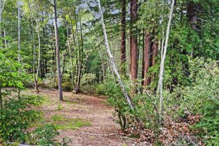 Residential Lot,  Siri road, Russian River, CA 95446 - 24