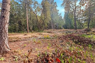 Residential Lot,  Siri road, Russian River, CA 95446 - 5