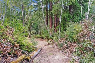 Residential Lot,  Siri road, Russian River, CA 95446 - 26