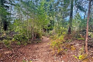 Residential Lot,  Siri road, Russian River, CA 95446 - 16