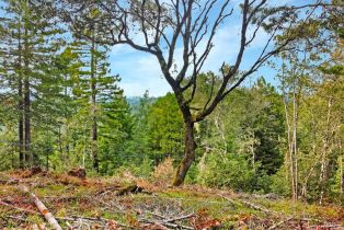Residential Lot,  Siri road, Russian River, CA 95446 - 7