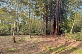 Residential Lot,  Siri road, Russian River, CA 95446 - 13