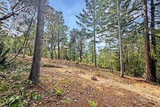 Residential Lot,  Siri road, Russian River, CA 95446 - 19