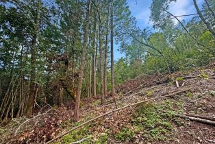 Residential Lot,  Siri road, Russian River, CA 95446 - 6