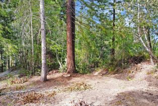 Residential Lot,  Siri road, Russian River, CA 95446 - 27