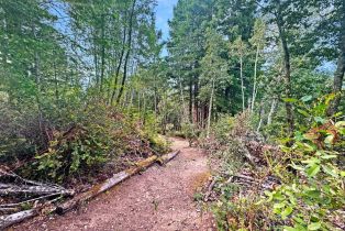 Residential Lot,  Siri road, Russian River, CA 95446 - 9