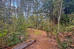Residential Lot,  Siri road, Russian River, CA 95446 - 3