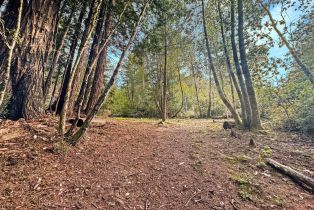 Residential Lot,  Siri road, Russian River, CA 95446 - 11