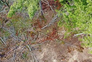 Residential Lot,  Siri road, Russian River, CA 95446 - 22