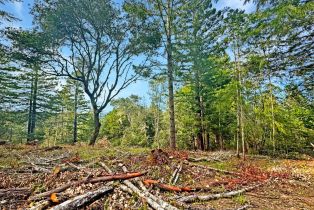 Residential Lot,  Siri road, Russian River, CA 95446 - 8