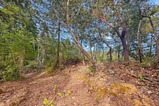 Residential Lot,  Siri road, Russian River, CA 95446 - 18