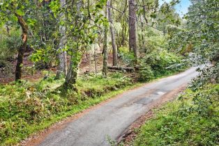 Residential Lot,  Siri road, Russian River, CA 95446 - 28