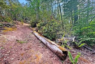 Residential Lot,  Siri road, Russian River, CA 95446 - 12