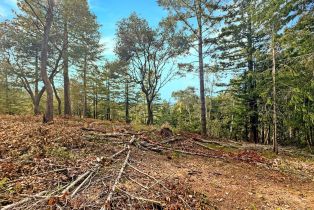 Residential Lot,  Siri road, Russian River, CA 95446 - 15