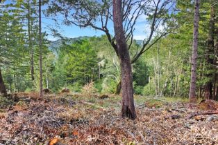 Residential Lot,  Siri road, Russian River, CA 95446 - 21