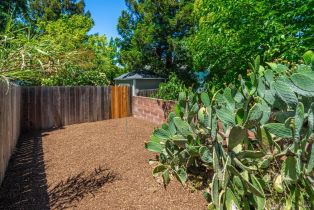 Single Family Residence, Berna avenue, Napa, CA 94559 - 47